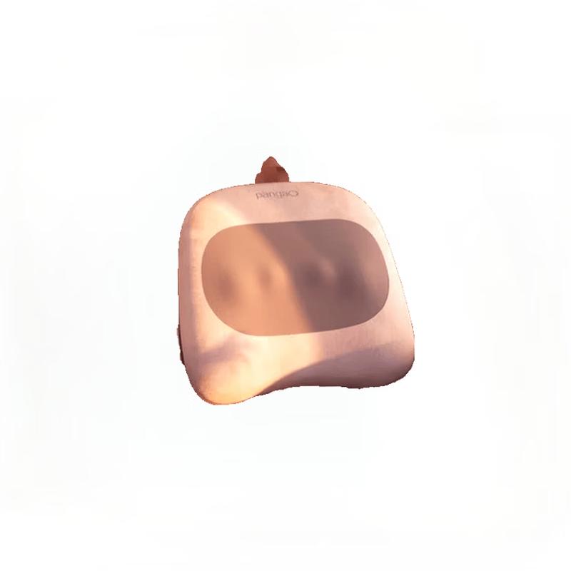 Pangao Smart Waist and Back Massager CN plug (adapter included)