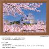 Yanoman in Jigsaw Cherry Blossoms of Himeji Castle Includes a piece request a a service and a jigsaw puzzle instruction (Yanoman) [Made Japan]