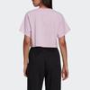 adidas Originals T Shirt Women's Pink H23811