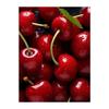 DIY Digital Fruit Oil Painting Kit - New Style for Stress Relief, No Frame Included