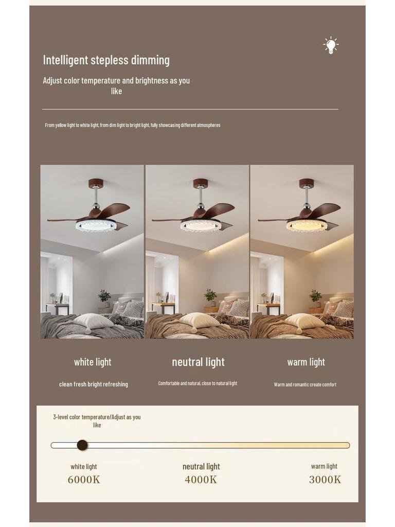 Nordic Retro Inverter Ceiling Fan Light 2025 for Living Room, Bedroom, Restaurant - Chinese Style