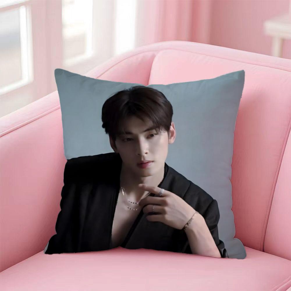 Hot CCha Eun Wooable Cushion Cover Premium SkinFriendly Pillow Case MultiPurpose for Home Office Travel