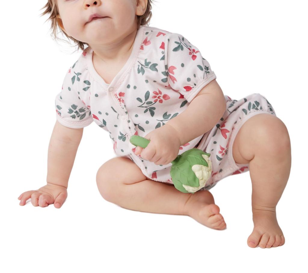 Short Set of 6 67cm [Petit Bateau] Rompers, 2, A0CNH, Multi-color 1, Months,