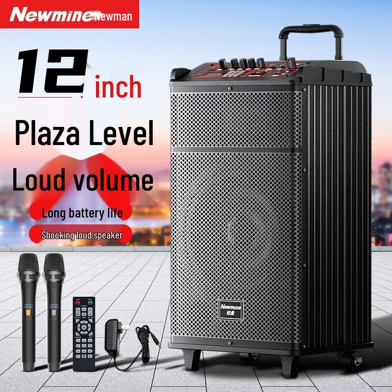 Newmine N520 12-inch Portable Bluetooth Trolley Speaker with Dual Mics CN Plug (adapter Included)