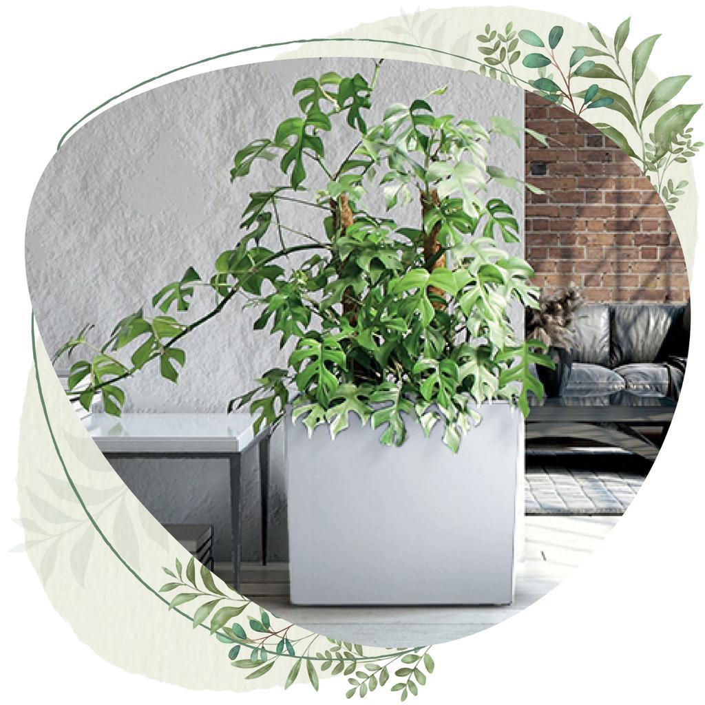 Urbi Case T DUC600T Tall Flowerpot with Insert | Anthracite