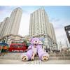 100-260cm   Giant Teddy Bear Plush Toys Soft Teddy Bear Outer Skin Coat Popular Birthday&Valentine's Gifts Girls Kid's Toy