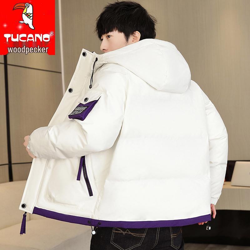 Kurtka zimowa męska Woodpecker 2025 z kapturem - Grubo watowana bawełną i ciepła