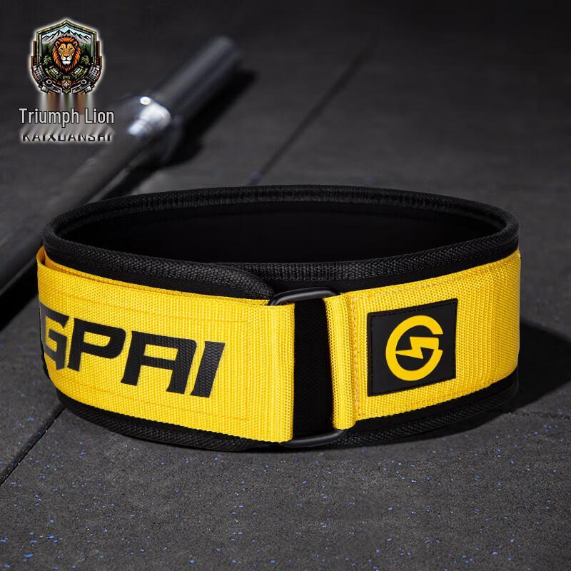 Triumph Lion Weightlifting Belt & Wrist Support