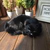 Sleeping Realistic Cat Plush Fake Fur Animal Toy Home Decor Photography Props