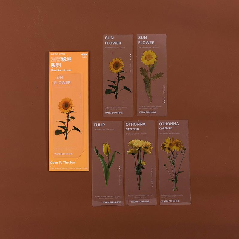 5Pcs PET Transparent Plant Leaf Bookmark Nature Botanical Leaves Book Marker for Reading Journal DIY Decor Supplies