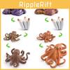 Marine Life Octopus Lifecycle Pvc Model For Childrens Learning Display