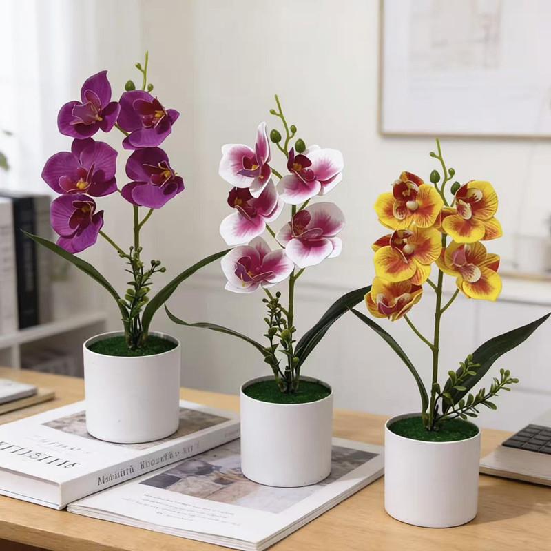 No Ip Artificial Orchid Plant With Plastic And Soft Gel For Home Decor And Photography Props