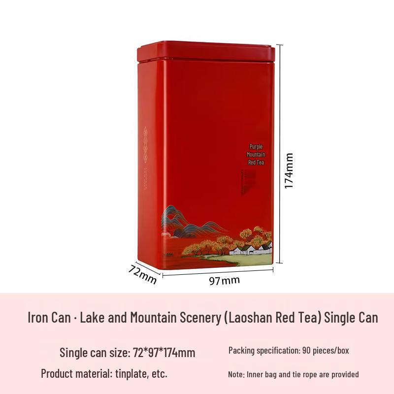 Green Tea Gift Box: Sealed Iron Can Set with Handbag, Large Square Half-Jin Capacity, Empty for Refill