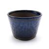 Umekichi Bonsai 3 Round Bonsai Sea Cucumber Approximately Fits Tuberous Small Supplies, No. Pot, Cut-off, Small, Blue, Glaze, 9.5cm, Ceramic,
