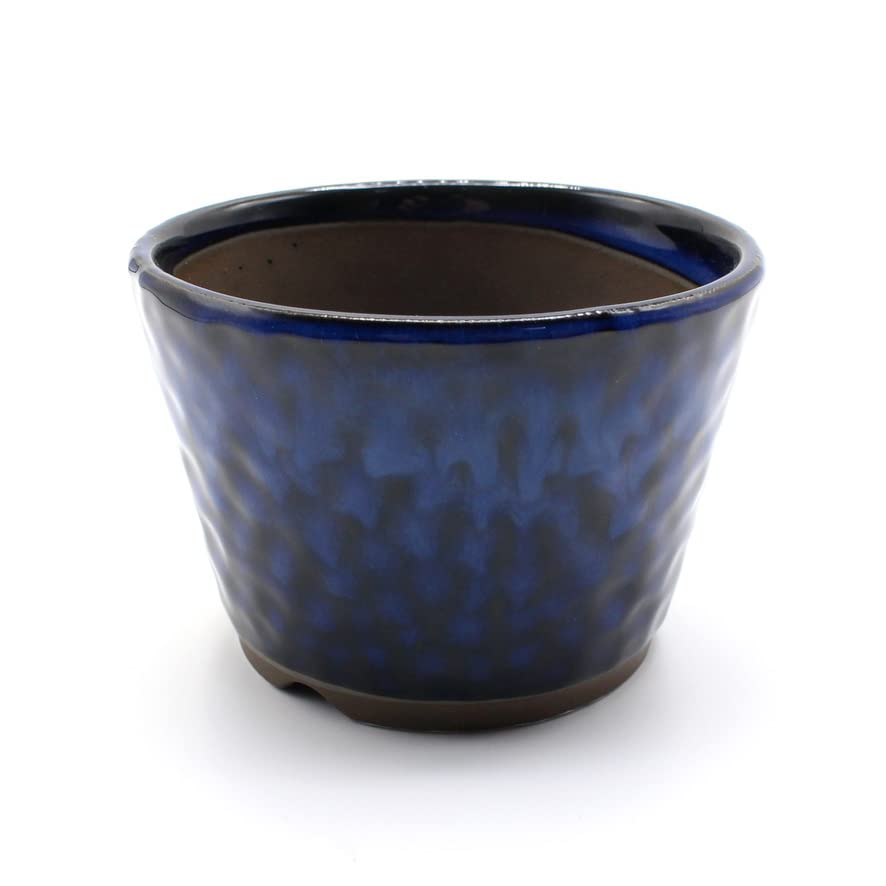 

Umekichi Bonsai 3 Round Bonsai Sea Cucumber Approximately Fits Tuberous Small Supplies, No. Pot, Cut-off, Small, Blue, Glaze, 9.5cm, Ceramic,