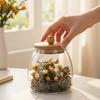 Tarro de Almacenamiento para Condimentos con Tapa de Bambú Sello de Silicona Contenedor de Vidrio Vidrio Transparente para Té Especias Productos Secos Cocina
