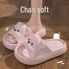 Women's Thick-Soled Non-Slip Cartoon Slippers - Summer 2025 Trendy Style for Home and Men