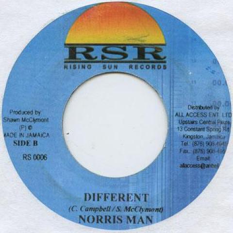 

7-дюймовая пластинка NORRIS MAN - Different Rising Sun 2004 Ямайское регги, ска и даб