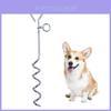 Outdoor Zinc Chrome Dog Stake With Retractable Leash For Pet Training And Yard Safety