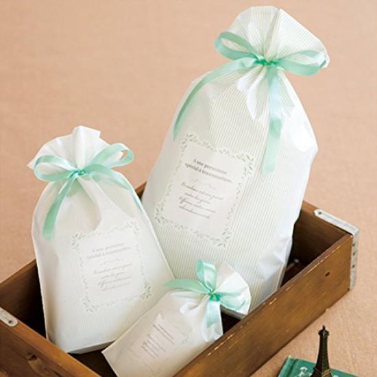 PE Gift Bag with Ribbon Mint stripe-M (20 Pieces) MTS-RBM