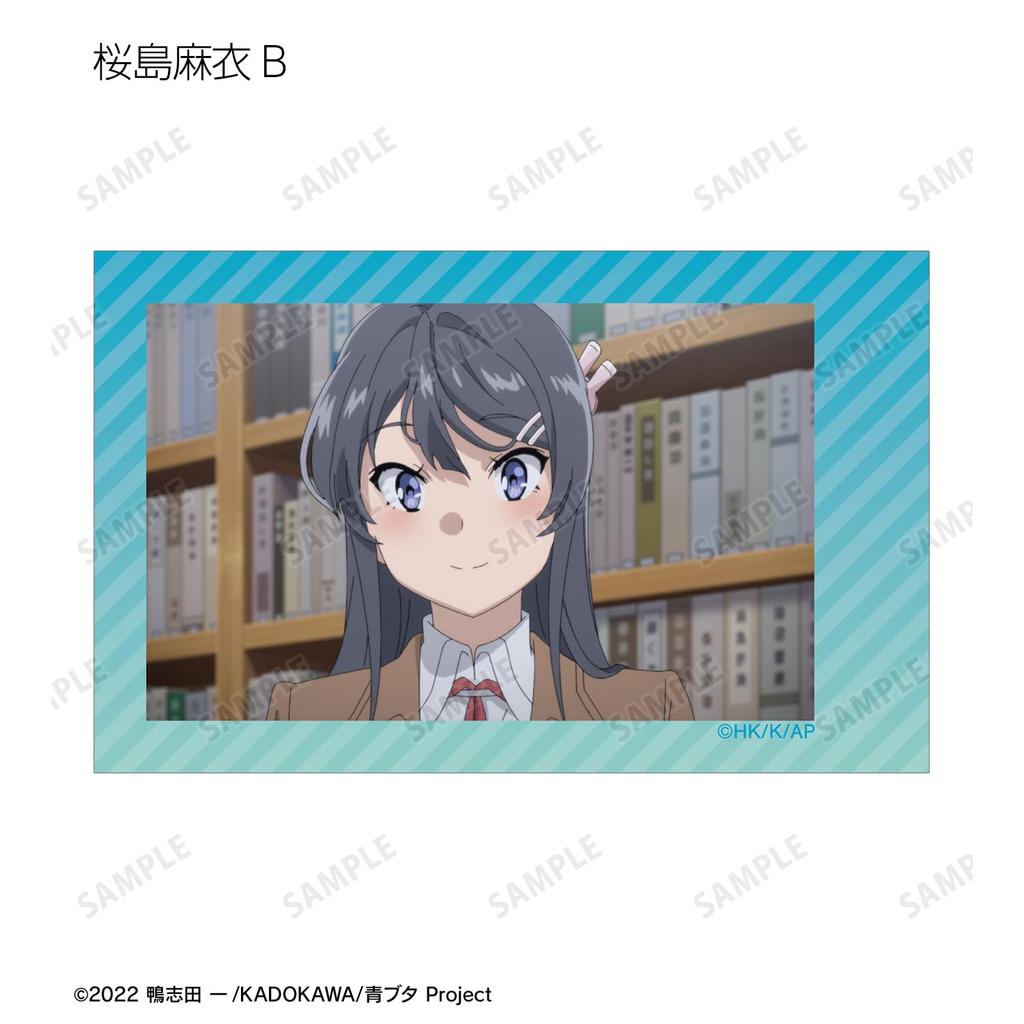 Rascal Does Not Dream of a Dreaming Girl trading instant camera style illustration box of 12 cards,