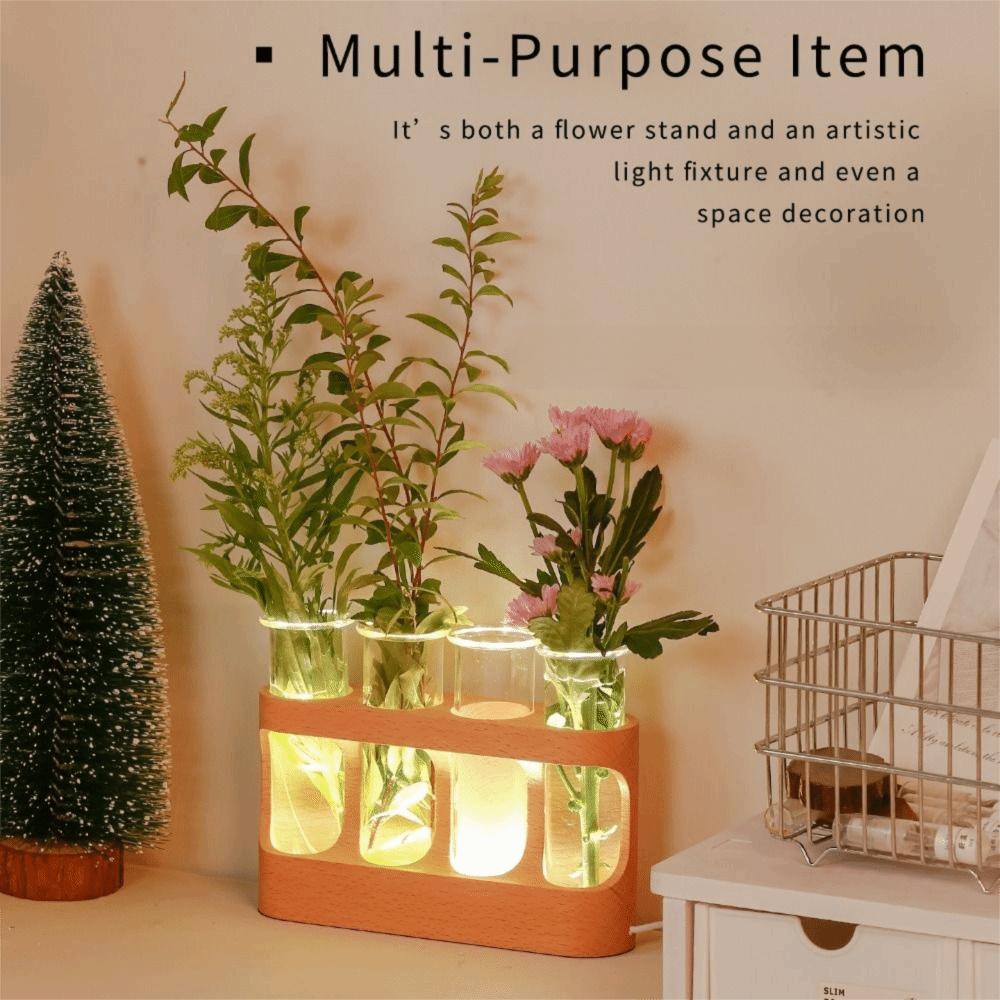 With Wood Stand Hydroponics Plants Glass Terrarium Adjustable Transparent Propagation Tube  Desktop