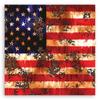 Impressão em tela Bandeira Americana EUA