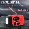 Emergency Preparedness Disaster Preparedness Recommended by Disaster Preparedness Smartphone LED Charging Radio Light Radio, Kit, Radio, Specialists,