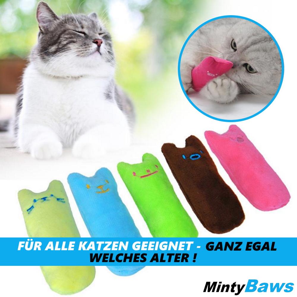 MintyBaws Catnip Pillow Cat Toys Cat Activity Mint Set of 5