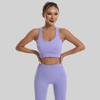 Women's Quick-Dry Seamless Sports Bra and Leggings Set - Shockproof Vest for Running and Yoga