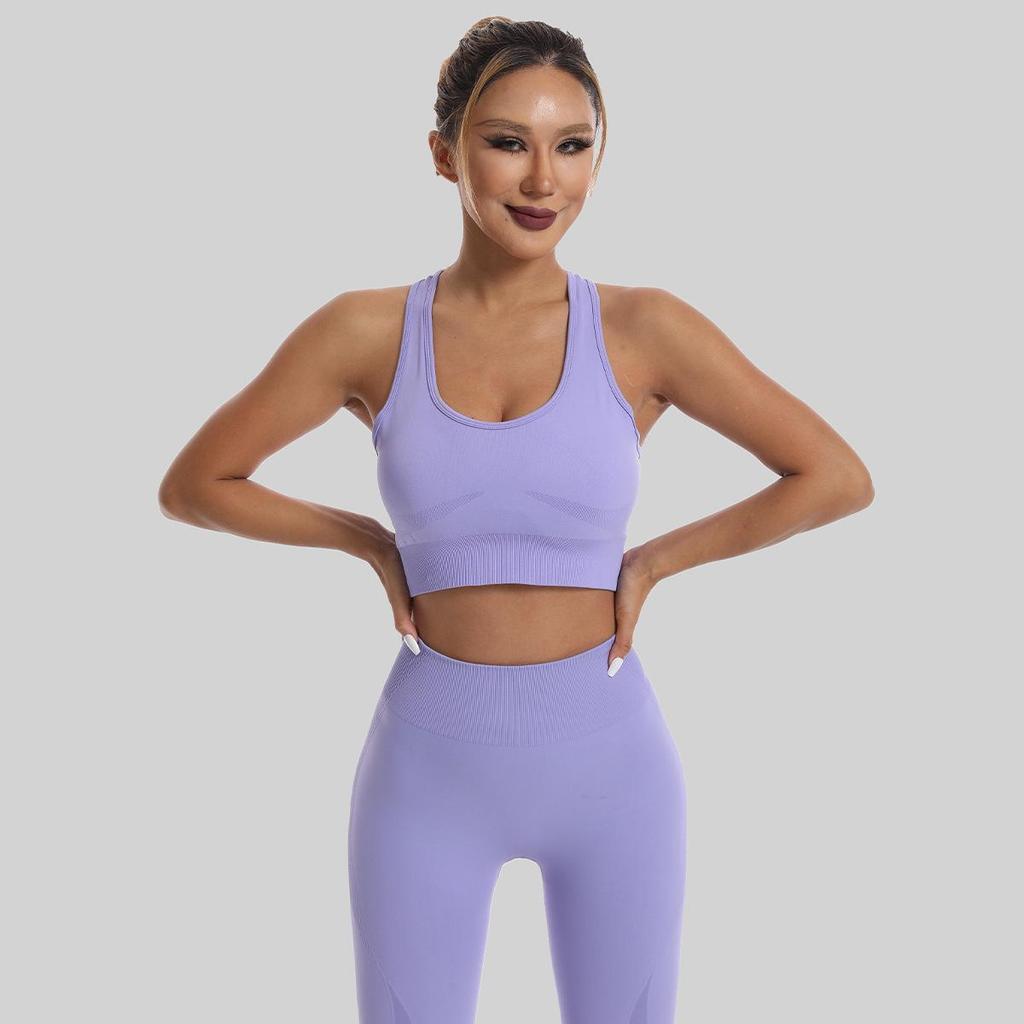 Women's Quick-Dry Seamless Sports Bra and Leggings Set - Shockproof Vest for Running and Yoga
