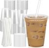 16 Oz Clear Disposable Plastic Cold Drink Cup with Lid and Straw