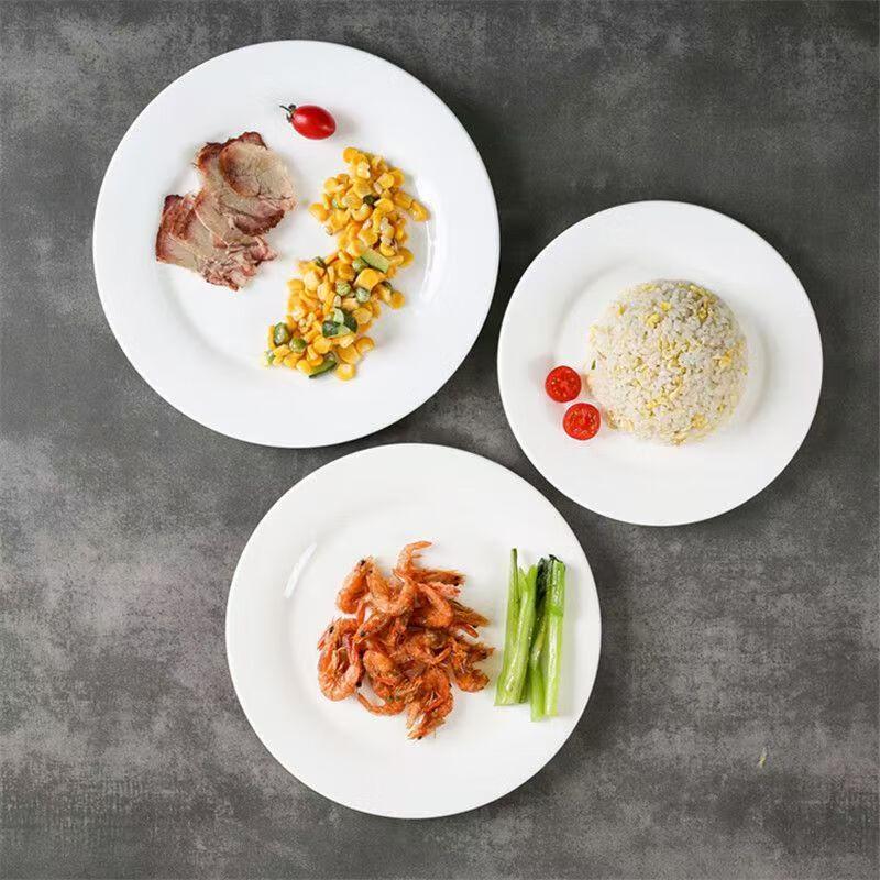 SIFAR Ceramic Steak & Dinner Plate Set