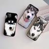 RE36 Husky Puppy Dog Case for Motorola Edge 60 60s 70 G86 G56 G54 E14 G04S G45 G54 G64 S30 S50 X30 X40 X50 Pro Power