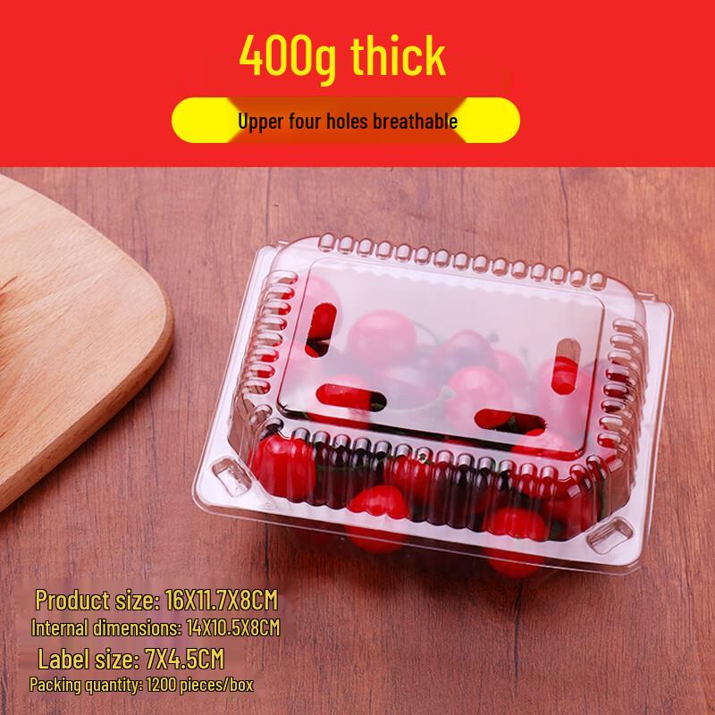 Shixun Disposable Transparent Fruit Containers with Lids (100-Pack)