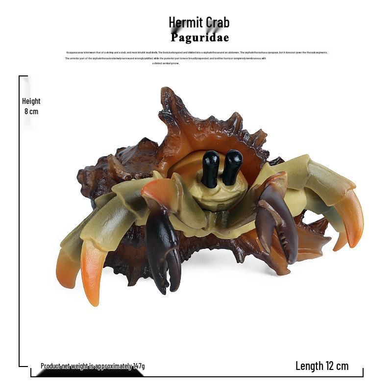 Kids Cognitive Learning Toys: Realistic Marine Animal Models - Crab & Hermit Crab Figures