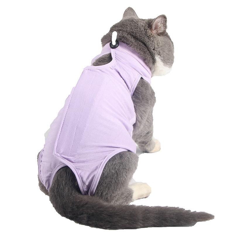 

Autumn Cat Post-Surgery Anti-Lick Suit: Anti-Infection, Anti-Bacterial, High Elasticity, Comfortable Pet Wear S (Chest 28-34cm, 2-4 lbs)