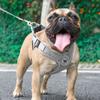 Commli Reflective Mesh X-Type Harness Set for Dogs, Gray