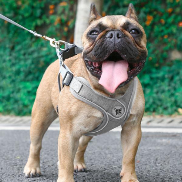 Commli Reflective Mesh X-Type Harness Set for Dogs, Gray