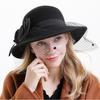Hot Autumn and Winter French Hepburn Style Mesh Yarn Woolen Top Hat Female Elegance Celebrity Style High-end Big Eaves Hat