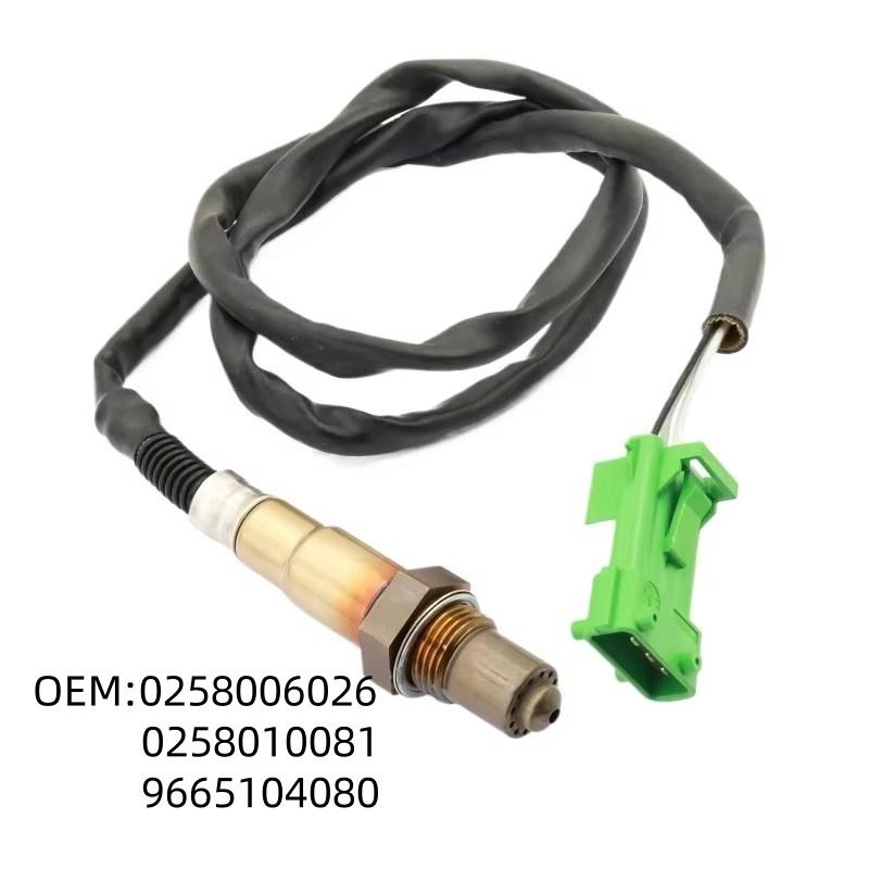 

0258006026 0258010081 Fit for for Citroen C4 DS3 DS5 for Peugeot 2008 207CC 06-21 9665104080 1618HC