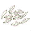 10 Pieces Thrower Fishing Feeder Spring Coil Inline Method Terminal Tackle 5.5x2.5 Cm/2.2x1.0