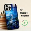 Manga Frieren Beyond Journeys End Phone Case For iPhone17,16,15,14,13,12,11 Plus,For Magnetic Wireless Charge Cover