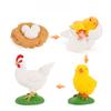 Static Poultry Animal Model With Incubation Process Display For Kids Educational Toy