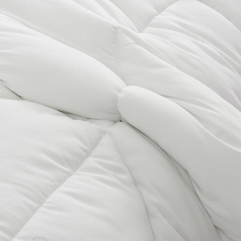 Chang Xiang Zhi Seven-Star Antibacterial Four Seasons Quilt