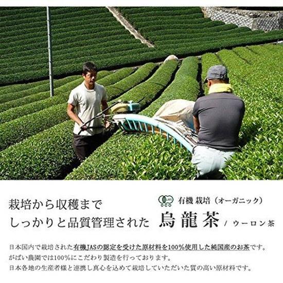 Gabai Farm Organic Cultivated Oolong Tea 3g40 bags (Oolong Tea) Domestic (Oita) JAS Chinese Health Bag Additive-Free