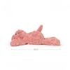 Jouet en peluche hippopotame poupée mignonne petite poupée hippopotame super douce poupée endormie poupée en tissu