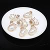 4Pcs Peeled Snail Pendant Golden Artificial Drilling Shell With Diamond 28x30-30x35mm For Jewelry Making DIY Necklace Bracelet Earrings Accessory