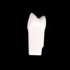 10Pcs Dental Typodont Teeth Model Removable Individual Screw-In Resin Denture Practice Tooth For Dental Studying Training
