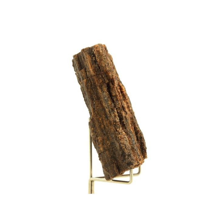 Pierres et Minéraux. Bois pétrifié. 300.0 ct. Arizona, USA.